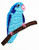 HHO Parrot blue Bird Red Mouth Embroidered Patch Embroidered DIY Patches, Cute Applique Sew Iron on Kids Craft Patch for Bags Jackets Jeans Clothes
