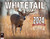 2024 Monster Whitetail Deer Wall Calendar 16-Month X-Large Size 14x22, Best Big Buck Rack Calendar by The KING Company-Monster Calendars