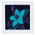 3dRose qs_45447_1 Pretty Blue Hawaiian Flower on a Black Background-Quilt Square, 10 by 10-Inch