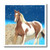 3dRose ht_4588_1 Paint Horse Iron on Heat Transfer for White Material, 8 by 8-Inch