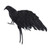 Happyyami 1pc Simulation Crow Bird Decor Black Trim Halloween Decor Crow Craft Crow Ornament Crow Decoration for Halloween Desktop Plastic Ornaments Black Desktop Decor Crow Decor Crow Toy