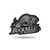 Rico Industries NCAA Bucknell Bison Antique Auto Emblem Antique Nickel Auto Emblem for Car/Truck/SUV