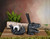 Streamline Imagined Black T-Rex Tape Dispenser