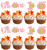 Rsstarxi 24 Pack Pumpkin 1st Birthday Cupcake Toppers Pink Glitter Pumpkin One First Birthday Party Cupcake Picks Decorations for Fall Theme Baby Shower Girls 1st Birthday Party Cake Decorations