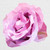 Low Poly Rose in Purple - 8" Printed Vinyl Decal - for Cars, Trucks, SUVs and More!