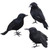 3Pcs Fake Crow Artificial Raven Statue Black Feather Bird Model Halloween Decor Halloween Birds Crow Decor Scary Ravens Decorative Crows Birds for Home Party Decoration