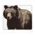 Bear Print Mouse Pad Waterproof Gaming Mouse Pads with Non-Slip Rubber Base Computer Mousepad Personalized Mouse Mat for Desk Pad
