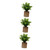 Garneck 3pcs Artificial Potted Plant Indoor pots for Plants Flower pots for Indoor Plants House Plants Artificial Desk Topper Fake Plant Decors Plastic Small Potted Plants Mini Office Garneck 3pcs Artificial Potted Plant Indoor pots for Plants Flower pots for Indoor Plants House Plants Artificial Desk Topper Fake Plant Decors Plastic Small Potted Plants Mini Office