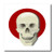 3dRose ht_46616_3 White Skull on Red Iron on Heat Transfer for White Material, 10 by 10-Inch