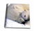3dRose db_516_1 Polar Bear and Cub-Drawing Book, 8 by 8-inch, Multicolor