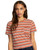 RVCA Womens Cropped Boxy Organic Tees - Emblem (Cinnamon, Small)
