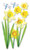 Jolee's Boutique Vellum Layered Dimensional Stickers, Daffodils
