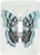 3dRose LLC lsp_61050_1 Pretty Bright Blue Lacey Butterfly Single Toggle Switch