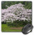 3dRose LLC 8 x 8 x 0.25 Inches Mouse Pad, Seattle, Washington Arboretum, Cherry Tree - Jamie and Judy Wild (mp_96121_1)