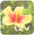 3dRose LLC Red and Yellow Hibiscus Coaster, Soft, Set of 4