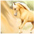 3dRose ct_4799_1 Palomino Horse Ceramic Tile, 4-Inch