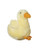Multipet's Look Who's Talking Plush Duck 5-Inch Dog Toy, Assorted Styles