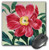 3dRose LLC 8 x 8 x 0.25 Vintage Red Peony Floral Flowers Mouse Pad (mp_79191_1)