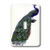 3dRose LLC lsp_35012_1 Blue Green and Coral Peacock, Single Toggle Switch
