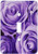 3dRose LLC lsp_27564_1 Soft Lilac Purple Poses Bouquet Single Toggle Switch