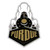 Craftique Purdue Boilermakers Premium Medium Die Cut Vinyl Decal, Auto