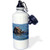 3dRose wb_88544_1 Queensland Koala Bear, Eucalyptus, San Diego Zoo, CA US05 MPR0030 Maresa Pryor Sports Water Bottle, 21 oz, White