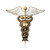 Vintage Medical Caduceus Stethoscope Brooch Badge Lapel Pin Medicine Symbol Brooches Jewelry Gifts for Nurse Doctor Students Jewelry (Caduceus) Vintage Medical Caduceus Stethoscope Brooch Badge Lapel Pin Medicine Symbol Brooches Jewelry Gifts for Nurse Doctor Students Jewelry (Caduceus)