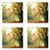 Ambesonne Forest Coaster Set of Four, Autumn View in A Forest with Faded Color Leaves European Northern Dutch Fall Image, Square Hardboard Gloss Coasters for Drinks, Orange Green