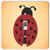 Rikki Knight Ladybug-Single Toggle Light Switch Plate
