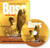 Lindner's Angling Edge Smallmouth Bass "On the Edge" DVD