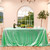 FYLEDAEE Sequin Tablecloth Rectangular Mint Green 50X80 inch Glittering Shimmer Tablecloth for Wedding Baby Shower Birthday Party Dinners Sparkly Tablecloth