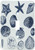 3dRose lsp_155830_1 Blue Sea Shells Nautical Beach Theme Ocean Art Single Toggle Switch