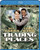 Trading Places (1983) (BD) [Blu-ray] by Warner Bros. by Various