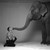 David Byrne - 18X24 Poster FCA #FCA541415