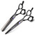 XUANFENG Silver Hairdressing Scissors Shear 6 Inch Hair Scissors Japan 440C Steel Thinning and Cutting Scissors Set Barber Salon Tool (2pcs, Black)