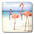 3dRose LLC lsp_20551_2 Flamingo Honeymoon Double Toggle Switch