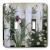 3dRose LLC lsp_44359_2 Weathered White Picket Garden Fence with Irises and Daisies, Double Toggle Switch