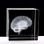 XINDAM 3D Human Brain Anatomical Model Statue Paperweight(Laser Etched) in Crystal Glass Cube Science Gift (No Included LED Base)(2.3x2.3x2.3 inch)