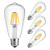 LED Edison Bulb,6w Dimmable Led Light Bulb, 6W Vintage LED Filament Light Bulb, st64 led Bulb,2700K Soft White,e26 led Bulb, Clear Glass Cover, 4 Pack