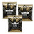 3 PACK Ernie Ball 2088 Paradigm 80/20 Bronze Acoustic Guitar Strings Light 11-52