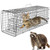 iMounTEK Live Animal Cage Trap Hunting Trap Cage Catch Live Animal Rodent Cage Collapsible Galvanized Wire for Small Raccoons Beavers Groundhogs Foxes Armadillos