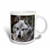 3dRose Gray Wolf Looking Straight at You, Magic Transforming Mug, 11-Ounce