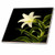 3dRose ct_3645_2 Lily Ceramic Tile, 6-Inch