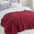 Bedsure Sherpa Queen Size Blanket for Bed - Fuzzy Soft Cozy Blanket Queen Size, Fleece Thick Warm Blanket for Winter, Red Fall Blanket, 90x90 Inches