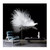 TOKMOCO Photo Wallpaper Modern Simple Black and White Feather Murals Living Room Dining Room Creative Wall Mural