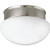 Progress Lighting P3410-09WB Fitter 2 Light CFL Flush Mount with Bulb