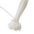 Cable Zip Ties,100 Pack White Zip Ties Assorted Sizes 6 Inch,Multi-Purpose Self-Locking Nylon Cable Ties Cord Management Ties (6inch*400, White)