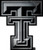 NCAA Texas Tech Red Raiders Chrome Auto Emblem Decal