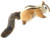 Hansa Plush 8" Chipper Chipmunk
