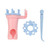 Knitting Spool Knitter, Knit Spool Loom Set Double Head Knitting Rope Maker Needle Knit DIY Craft Wool Knitting Needle Tools Manual Spool Knitter